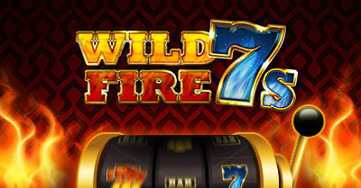 Sun Palace wild fire 7